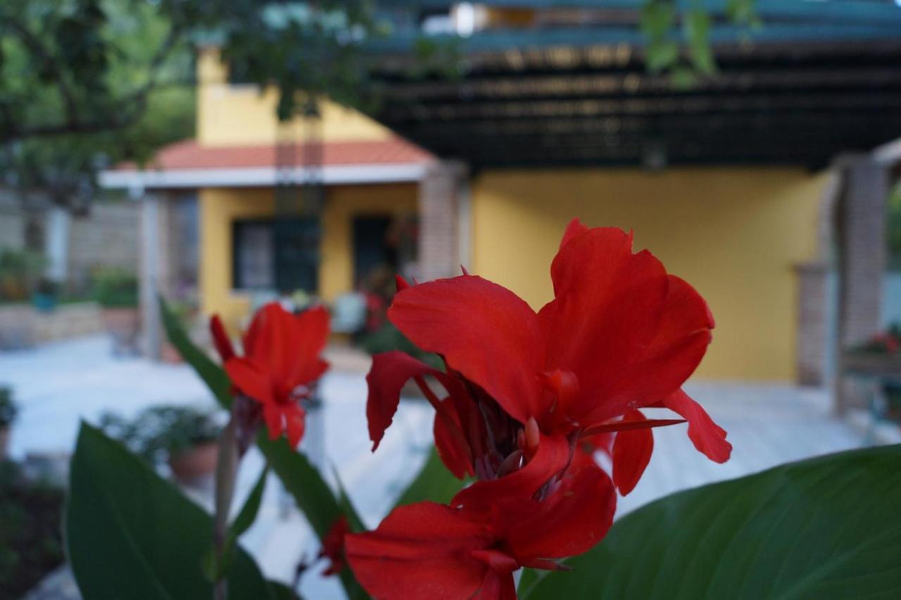 Villa Sofia Párga Exterior foto